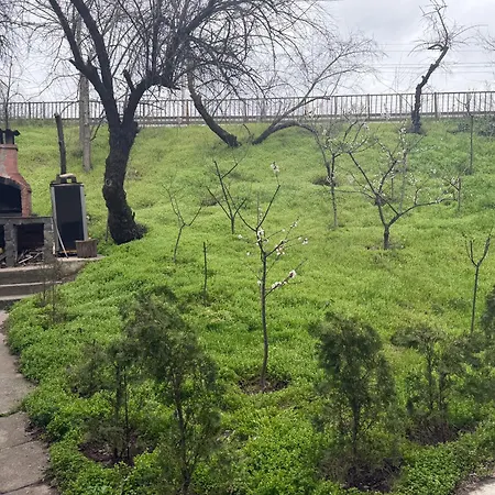 Daire Casawyw 2 Craiova